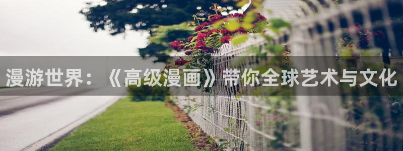 韩漫免费：漫游世界：《高级漫画》带你全球艺术与文化