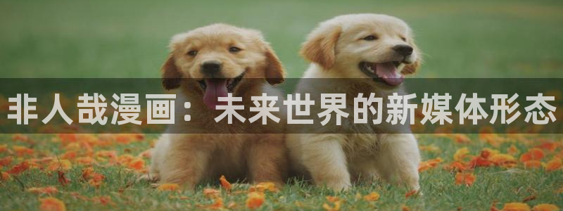 韩漫社韩漫黄色入口：非人哉漫画：未来世界的新媒体形态
