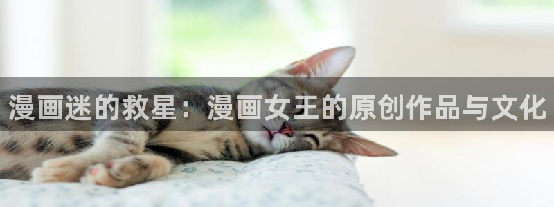 耽漫韩漫画网免费官网：漫画迷的救星：漫画女王的原创作品与文化
